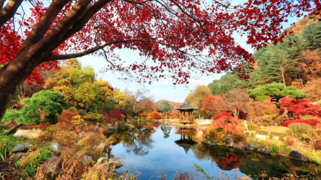 경기 아침고요수목원 축제, 자연과 힐링의 여행지