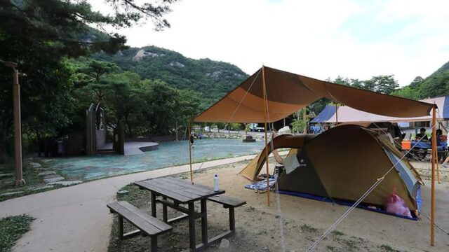충북 월악산국립공원 닷돈재자동차야영장 여름 캠핑 축제